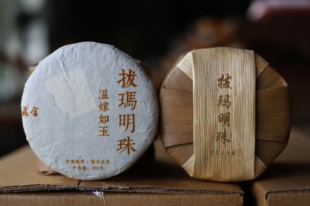 普洱生茶2023年拔瑪古樹